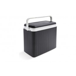 NEVERA RIGIDA 24 L